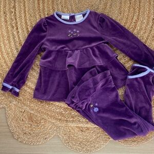 Vintage Kid Connection Girls Purple Floral Velvet Embroidered Top & Pants Set
